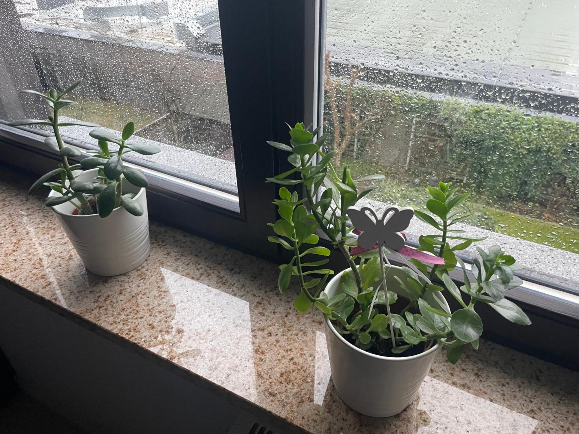 Motylkowa 125 M2 5 Pokoi Apartament *